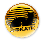Телеканал ЭФКАТЕ